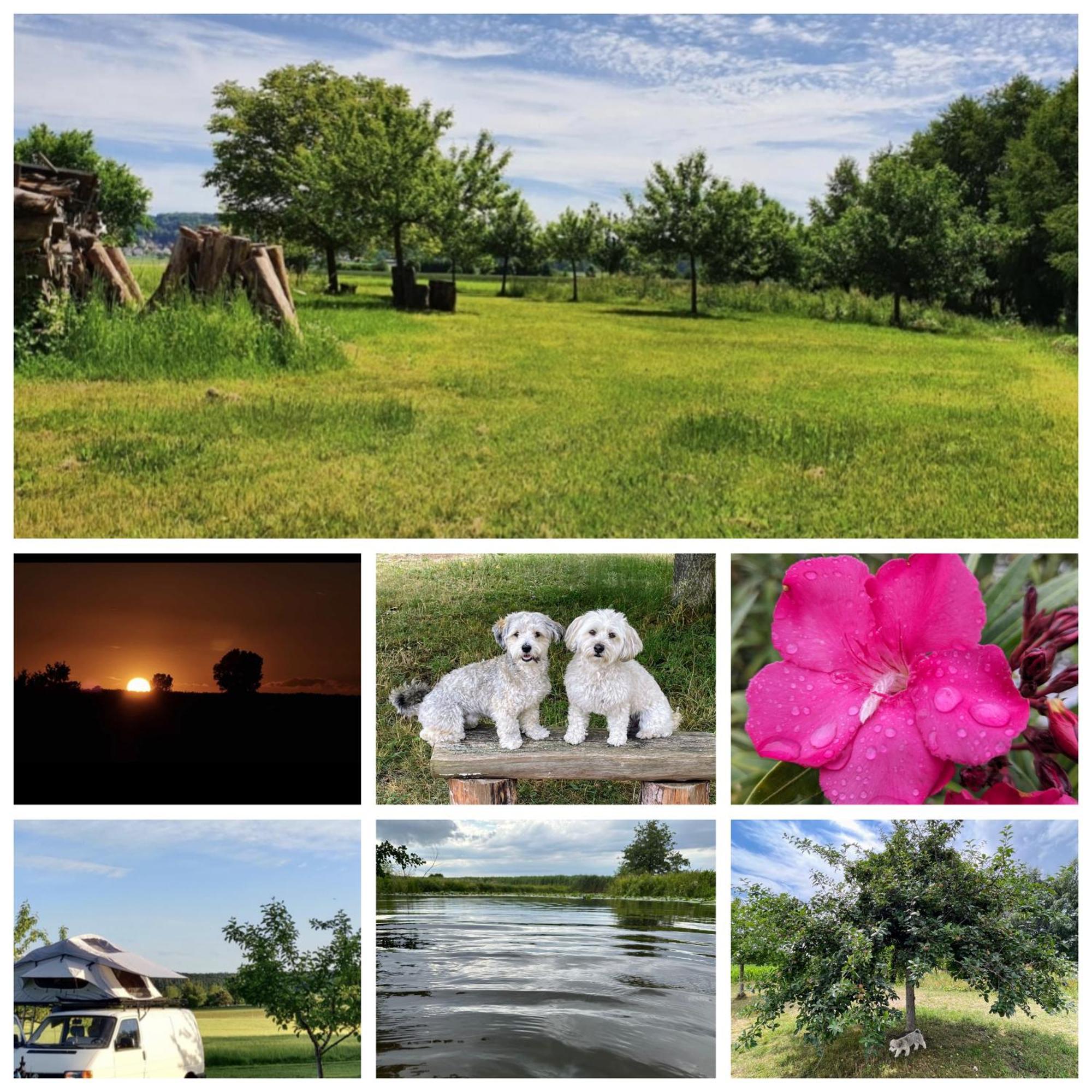 Campsite Natur, Wasser Und Landleben - Mit Eigenem Zelt Bechhofen (Ansbach)
